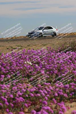 media/Jan-08-2023-SCCA SD (Sun) [[8f6a5b9391]]/Intermediate Group/Session 2 (Short Straight)/